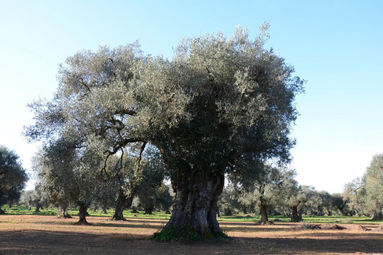 Masseria Rifisa Agriresort Caprarica di Lecce Εξωτερικό φωτογραφία