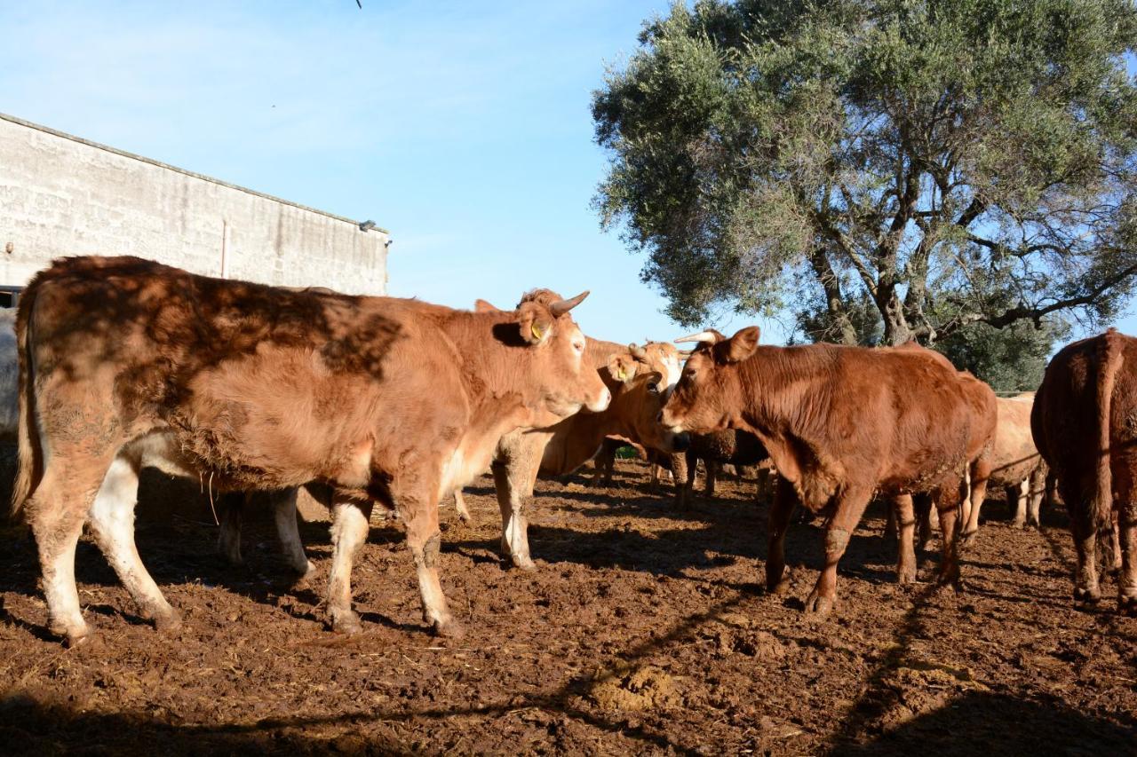 Masseria Rifisa Agriresort Caprarica di Lecce Εξωτερικό φωτογραφία